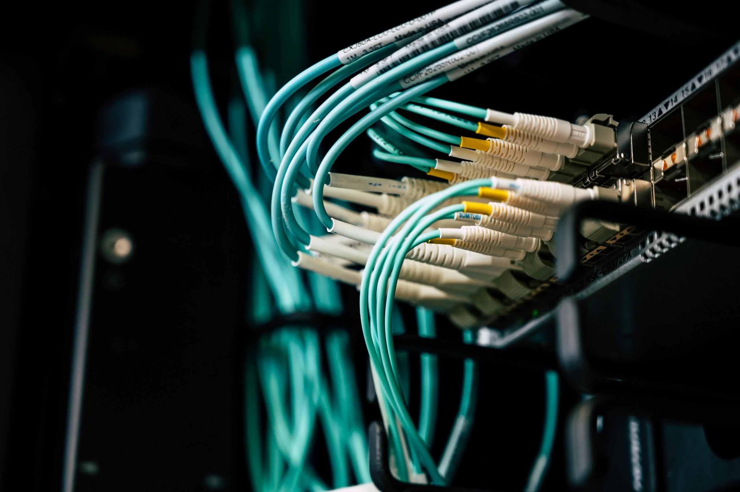 blue cables connected on a server
